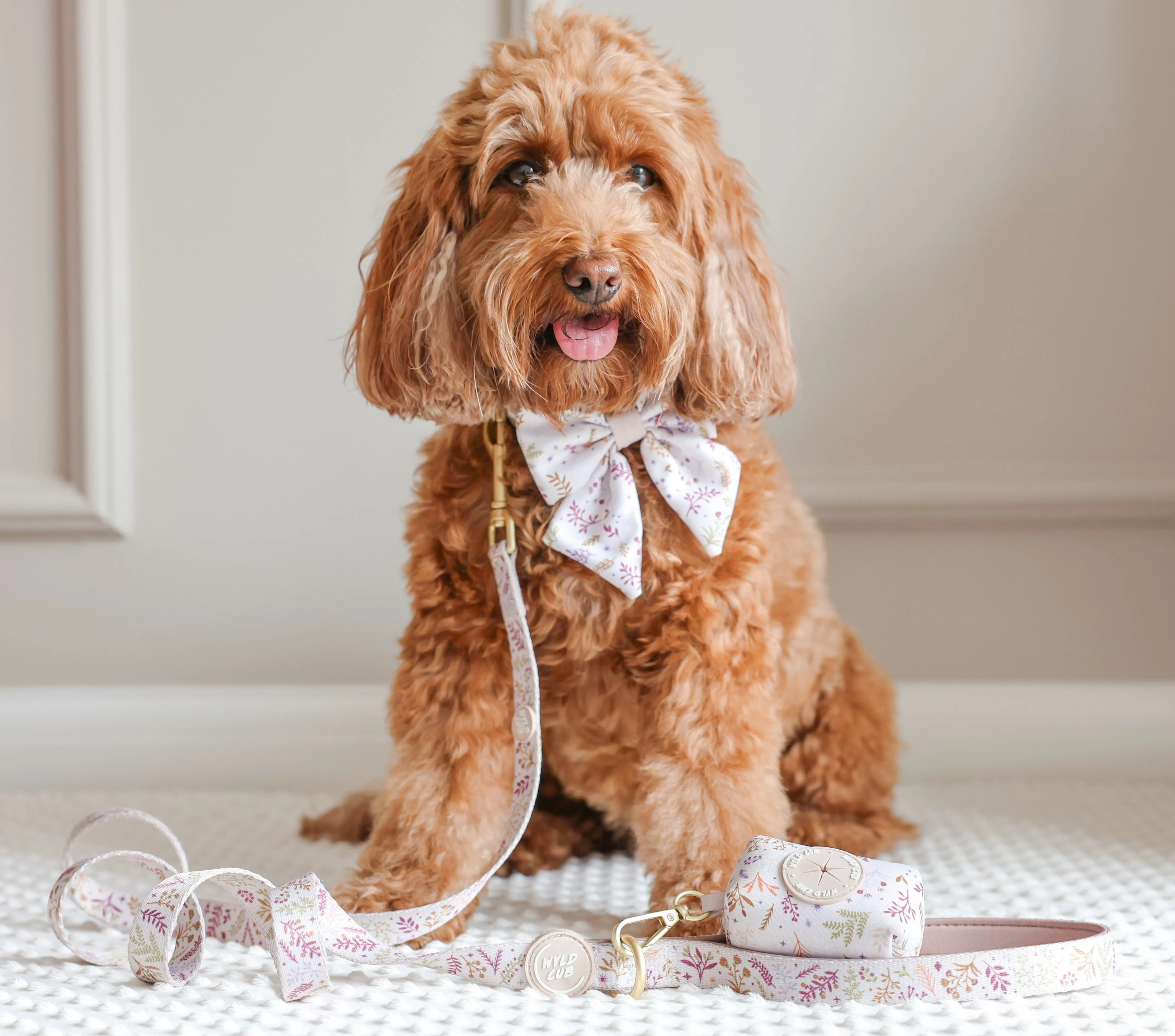 Adjustable Dog Collar: Chiswick Oyster